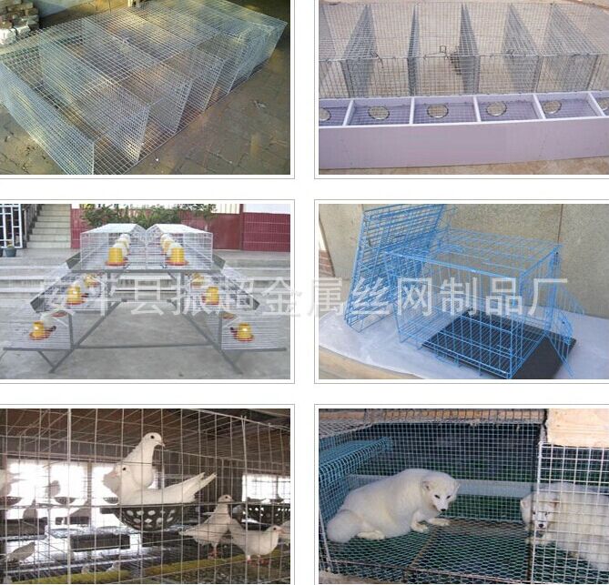 養(yǎng)殖電焊網(wǎng)  安平縣振超金屬絲網(wǎng)制品廠-www.mh1831.com