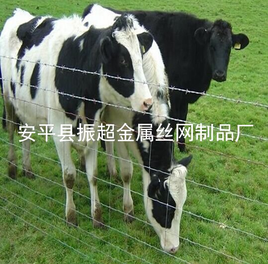 圈牛網(wǎng)圈羊網(wǎng)草原網(wǎng)-安平縣振超金屬絲網(wǎng)制品廠