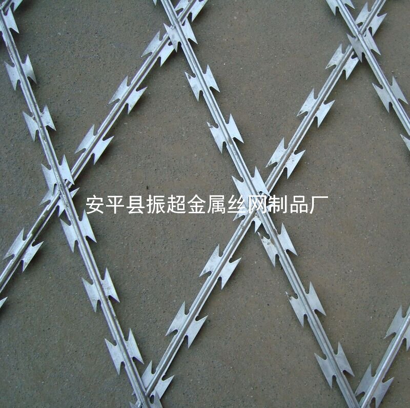 帶刺鋼絲網(wǎng)-安平縣振超金屬絲網(wǎng)制品廠
