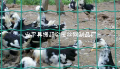 圈雞鴨用鋼絲網