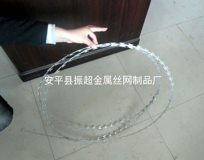 不銹鋼刺繩-安平縣振超金屬絲網制品廠www.mh1831.com
