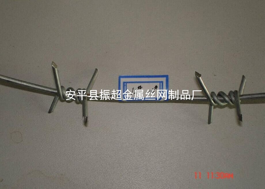 單股刺繩-安平縣振超金屬絲網制品廠www.mh1831.com