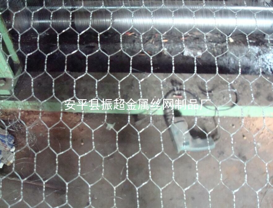 養(yǎng)雞防護(hù)網(wǎng)-安平縣振超金屬絲網(wǎng)制品廠www.mh1831.com
