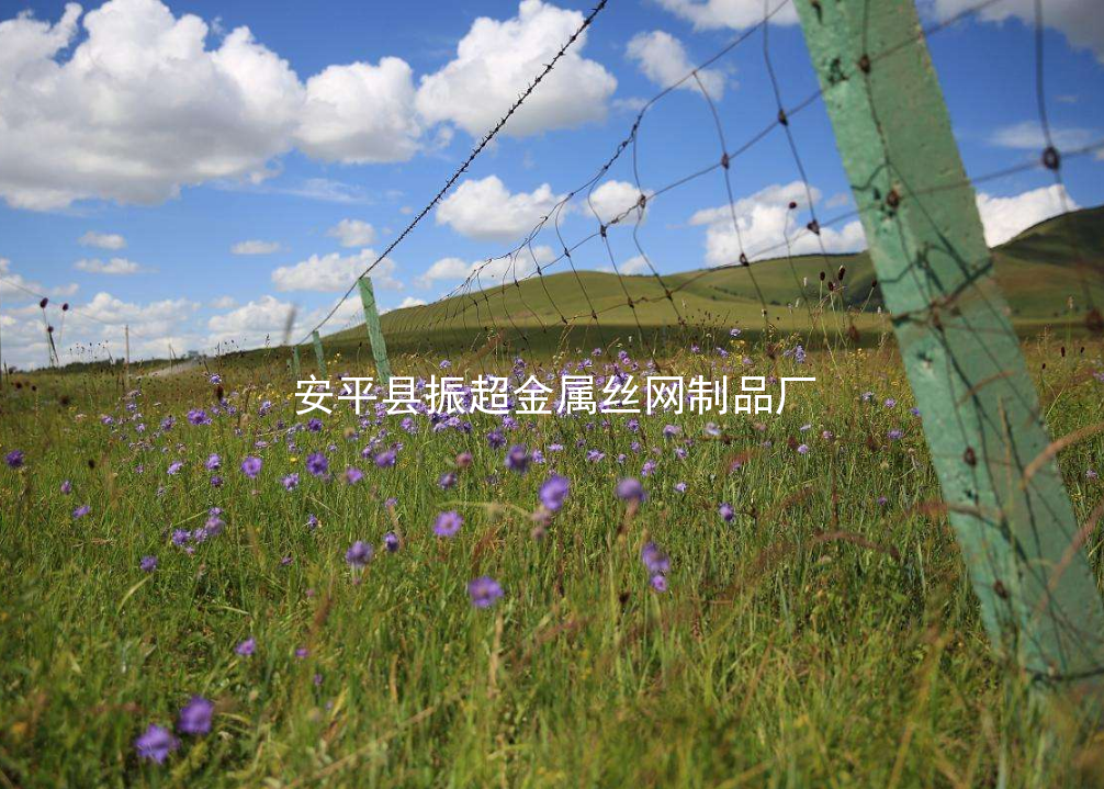 草原鐵絲網圍欄-www.mh1831.com