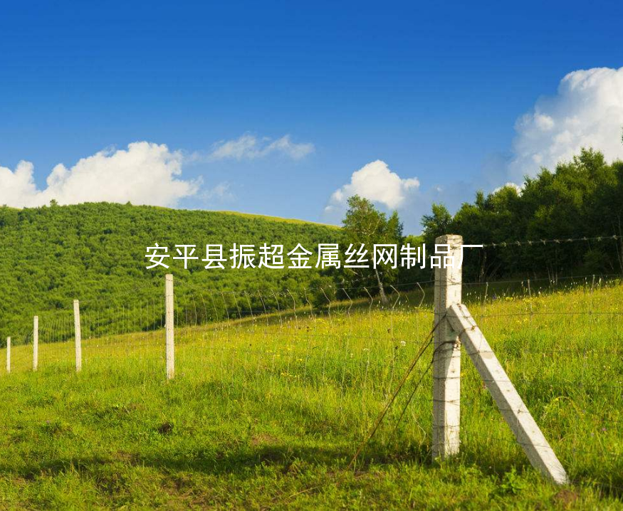 草原鐵絲網圍欄-www.mh1831.com