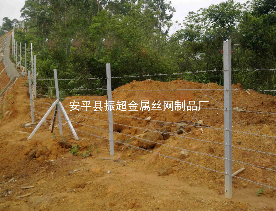 帶刺鐵絲網www.mh1831.com