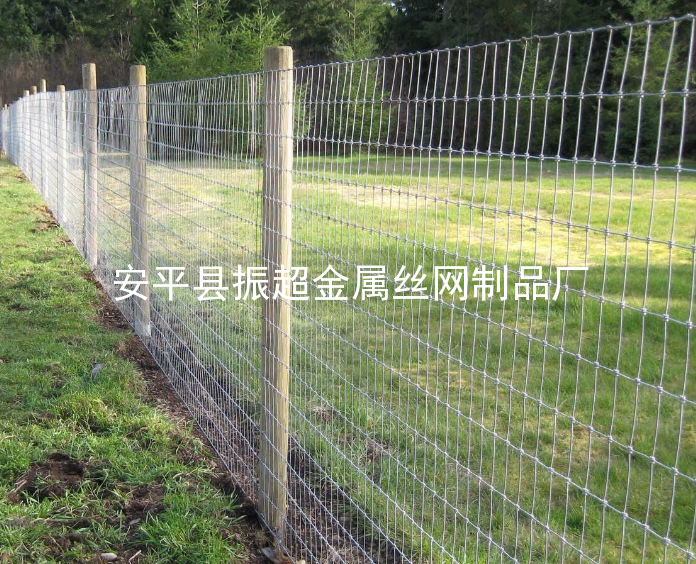 草原圍網-www.mh1831.com