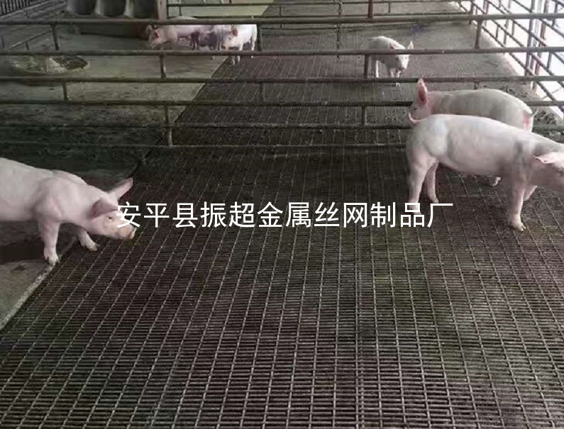 鐵絲網保育床,鐵絲網產床-www.mh1831.com