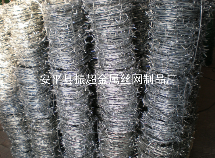 鐵絲蒺藜圍網-www.mh1831.com