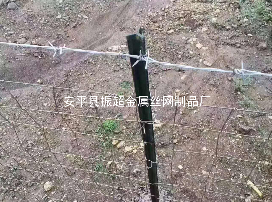 圈羊鐵絲網，圈牛鐵絲網-www.mh1831.com