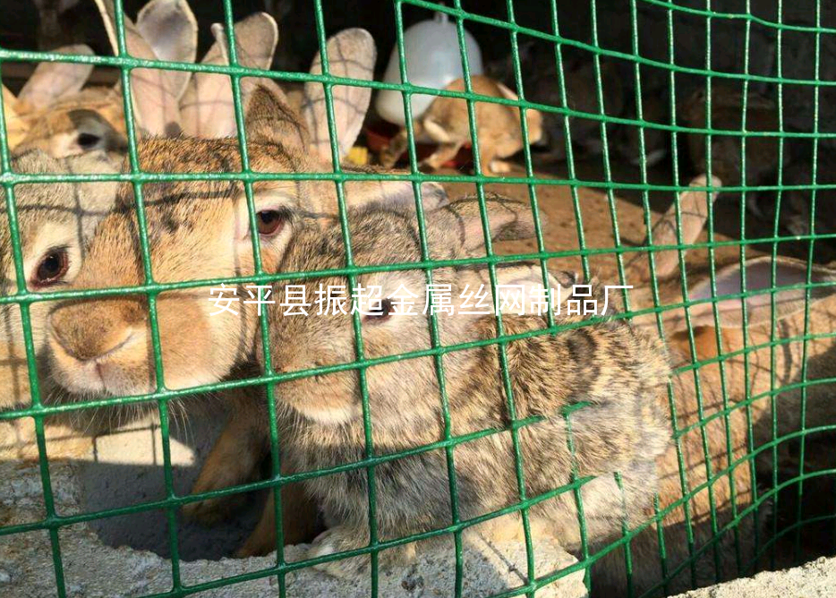 養殖鐵絲網，綠皮鐵絲網-www.mh1831.com