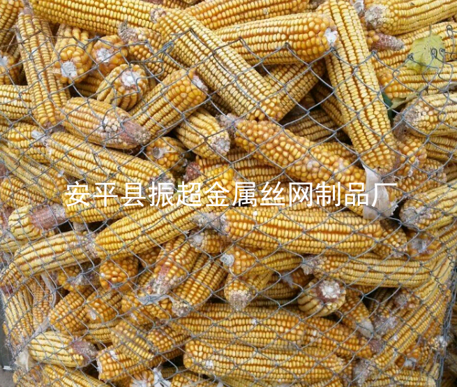 用來圈玉米的鐵絲網-www.mh1831.com