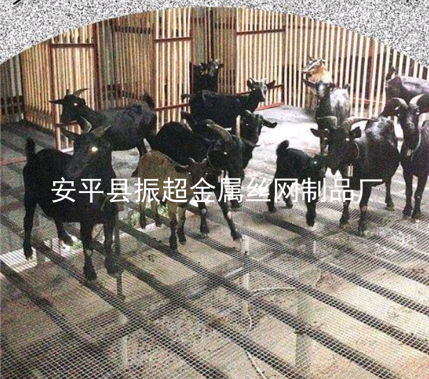 鋼絲網(wǎng)羊床，羊床漏糞板——www.mh1831.com