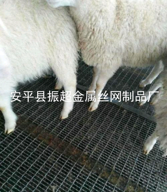 鐵絲網(wǎng)羊床，養(yǎng)羊漏糞板-www.mh1831.com