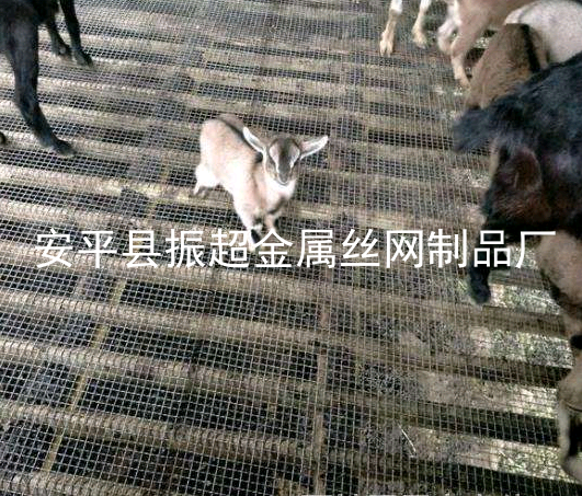 養(yǎng)羊漏糞板，養(yǎng)殖漏糞板鋼網(wǎng)-www.mh1831.com