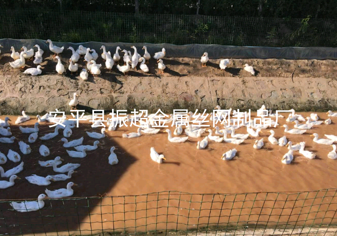 圈雞鴨圍欄圍網-www.mh1831.com