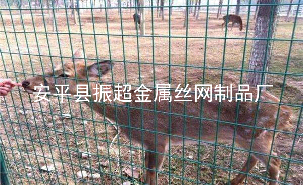 圈鹿圍網(wǎng)圍擋—www.mh1831.com