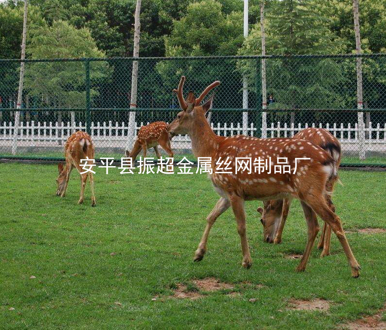 圈鹿圍欄，養(yǎng)殖圍欄圍擋圍網(wǎng)-www.mh1831.com